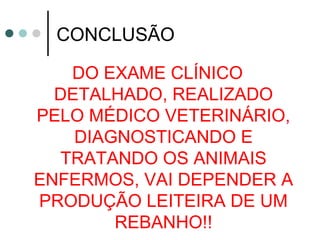 CONCLUSÃO

   DO EXAME CLÍNICO
  DETALHADO, REALIZADO
PELO MÉDICO VETERINÁRIO,
    DIAGNOSTICANDO E
  TRATANDO OS ANIMAIS
ENFERMOS, VAI DEPENDER A
PRODUÇÃO LEITEIRA DE UM
        REBANHO!!
 