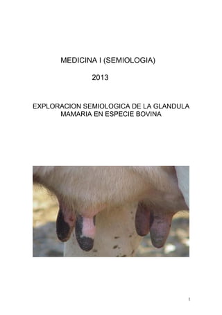 1
MEDICINA I (SEMIOLOGIA)
2013
EXPLORACION SEMIOLOGICA DE LA GLANDULA
MAMARIA EN ESPECIE BOVINA
 
