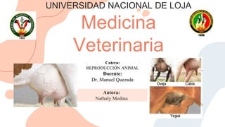 UNIVERSIDAD NACIONAL DE LOJA
Medicina
Veterinaria
Autora:
Nathaly Medina
Catera:
REPRODUCCIÓN ANIMAL
Docente:
Dr. Manuel Quezada
 