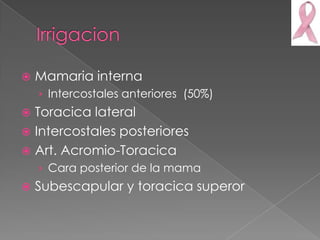    Mamaria interna
    › Intercostales anteriores (50%)
 Toracica lateral
 Intercostales posteriores
 Art. Acromio-Toracica
    › Cara posterior de la mama
   Subescapular y toracica superor
 
