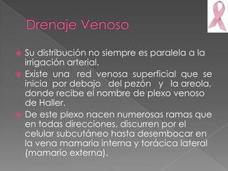  Su distribución no siempre es paralela a la
  irrigación arterial.
 Existe una red venosa superficial que se
  inicia por debajo del pezón y la areola,
  donde recibe el nombre de plexo venoso
  de Haller.
 De este plexo nacen numerosas ramas que
  en todas direcciones, discurren por el
  celular subcutáneo hasta desembocar en
  la vena mamaria interna y torácica lateral
  (mamario externa).
 