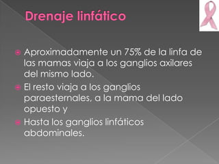  Aproximadamente un 75% de la linfa de
  las mamas viaja a los ganglios axilares
  del mismo lado.
 El resto viaja a los ganglios
  paraesternales, a la mama del lado
  opuesto y
 Hasta los ganglios linfáticos
  abdominales.
 