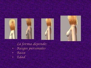 Capilares sanguíneos  CÉLULA SECRETORA 