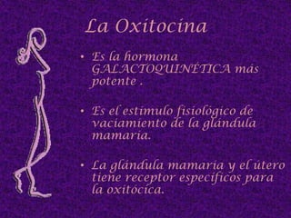 EmbrionarioOrigen ectodermico