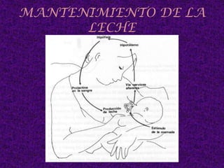 La forma depende: Rasgos personales  Raza Edad 
