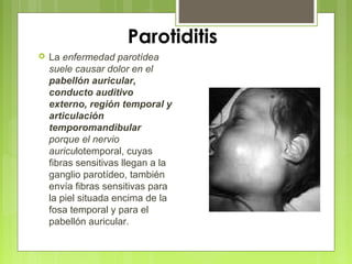 Parotiditis
 La enfermedad parotídea
suele causar dolor en el
pabellón auricular,
conducto auditivo
externo, región temporal y
articulación
temporomandibular
porque el nervio
auriculotemporal, cuyas
fibras sensitivas llegan a la
ganglio parotídeo, también
envía fibras sensitivas para
la piel situada encima de la
fosa temporal y para el
pabellón auricular.
 