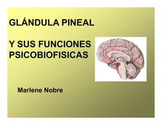 GLÁNDULA PINEAL
Y SUS FUNCIONES
PSICOBIOFISICAS
Marlene Nobre
 