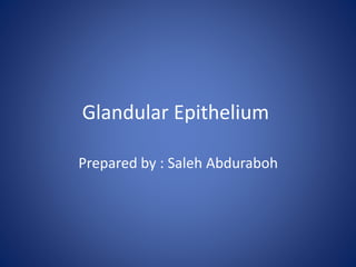 Glandular Epithelium
Prepared by : Saleh Abduraboh
 