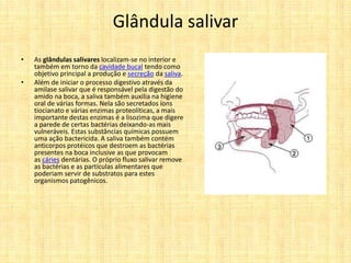 Glândula salivar
• As glândulas salivares localizam-se no interior e
também em torno da cavidade bucal tendo como
objetivo principal a produção e secreção da saliva.
• Além de iniciar o processo digestivo através da
amilase salivar que é responsável pela digestão do
amido na boca, a saliva também auxilia na higiene
oral de várias formas. Nela são secretados íons
tiocianato e várias enzimas proteolíticas, a mais
importante destas enzimas é a lisozima que digere
a parede de certas bactérias deixando-as mais
vulneráveis. Estas substâncias químicas possuem
uma ação bactericida. A saliva também contém
anticorpos protéicos que destroem as bactérias
presentes na boca inclusive as que provocam
as cáries dentárias. O próprio fluxo salivar remove
as bactérias e as partículas alimentares que
poderiam servir de substratos para estes
organismos patogênicos.
 