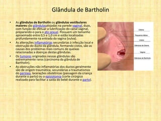 Glândula de Bartholin
• As glândulas de Bartholin ou glândulas vestibulares
maiores são glândulasalojadas na parede vaginal, duas,
com função de efetuar a lubrificação do canal vaginal,
preparando-o para o ato sexual. Possuem um tamanho
aproximado entre 0,5 e 1,0 cm e estão localizadas
profundamente na entrada da vagina (vulva).
• As alterações inflamatórias secundárias à infecção local e
obstrução do ducto da glândula, formando cistos, são as
causas dos problemas mais comuns de queixas
relacionadas a doenças destas glândulas.
• Os tumores originados nessas glândulas são
extremamente raros (carcinoma da glândula de
Bartholin).
• As obstruções não inflamatórias dos ductos geralmente
são de origem traumática, secundárias a traumatismos
do períneo, lacerações obstétricas (passagem da criança
durante o parto) ou a episiotomia (corte cirúrgico
realizado para facilitar a saída do bebê durante o parto).
 