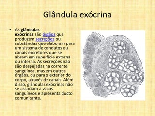 Glândula exócrina
• As glândulas
exócrinas são órgãos que
produzem secreções ou
substâncias que elaboram para
um sistema de condutos ou
canais excretores que se
abrem em superfície externa
ou interna. As secreções não
são despejadas na corrente
sanguínea, mas em outros
órgãos, ou para o exterior do
corpo, através de canais. Além
disso, glândulas exócrinas não
se associam a vasos
sanguíneos e apresenta ducto
comunicante.
 