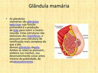 Glândula mamária
• As glandulas
mamárias são glândulas
exócrinas cuja função
primordial é a produção
de leite para nutrir o recém-
nascido. Estas estruturas são
exclusivas dos mamíferos, e
possuem uma estrutura de
ramificação mais complexa do
que a das
demais glândulas dapele.
Ambos os sexos as possuem,
embora nos machos, seu
desenvolvimento cesse antes
mesmo da puberdade, de
seudesevolvimento .
 