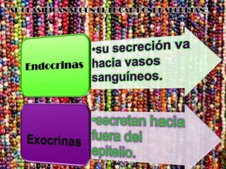 X X X X X X X X X X X