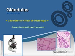 GlándulasGlándulas
Práctica VirtualPráctica Virtual
= Laboratorio virtual de Histología =
Brenda Paullette Morales Hernández
 