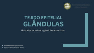 TEJIDO EPITELIAL
GLÁNDULAS
Glándulas exocrinas y glándulas endocrinas
• Rosa Ailin Santiago Cortazar
• Paola Gabriela Castillo Bonilla
 