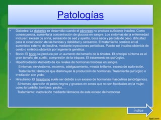 Patologías
• Diabetes: La diabetes se desarrolla cuando el páncreas no produce suficiente insulina. Como
consecuencia, aumenta la concentración de glucosa en sangre. Los síntomas de la enfermedad
incluyen: exceso de orina, sensación de sed y apetito, boca seca y pérdida de peso, dificultad
para la cicatrización de las heridas y debilidad y cansancio. El tratamiento consiste en el
suministro externo de insulina, mediante inyecciones periódicas. Puede ser insulina obtenida de
cerdo o sintética obtenida por ingeniería genética.
• Bocio: El bocio se produce por un aumento del tamaño de la tiroides. El principal síntoma es el
gran tamaño del cuello, compresión de la tráquea. El tratamiento es quirúrgico.
• Hipertiroidismo: Aumento de los niveles de hormonas tiroideas en sangre.
Síntomas: nerviosismo, insomnio, adelgazamiento, mirada brillante, exceso de sudoración.
Tratamiento: fármacos que disminuyen la producción de hormonas. Tratamiento quirúrgico o
irradiación con yodo.
• Hirsutismo: El hirsutismo suele ser debido a un exceso de hormonas masculinas (andrógenos).
Síntomas: aparición de pelos negros y gruesos en zonas que no son habituales en la mujer,
como la barbilla, hombros, pecho,…
Tratamiento: inactivación mediante fármacos de este exceso de hormonas
Índice
 