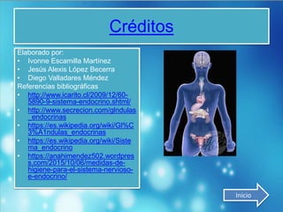 Créditos
Elaborado por:
• Ivonne Escamilla Martínez
• Jesús Alexis López Becerra
• Diego Valladares Méndez
Referencias bibliográficas
• http://www.icarito.cl/2009/12/60-
5890-9-sistema-endocrino.shtml/
• http://www.secrecion.com/glndulas
_endocrinas
• https://es.wikipedia.org/wiki/Gl%C
3%A1ndulas_endocrinas
• https://es.wikipedia.org/wiki/Siste
ma_endocrino
• https://anahimendez502.wordpres
s.com/2015/10/06/medidas-de-
higiene-para-el-sistema-nervioso-
e-endocrino/
Inicio
 