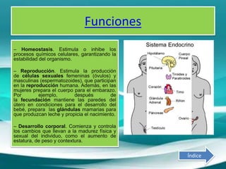 Funciones
– Homeostasis. Estimula o inhibe los
procesos químicos celulares, garantizando la
estabilidad del organismo.
– Reproducción. Estimula la producción
de células sexuales femeninas (óvulos) y
masculinas (espermatozoides), que participan
en la reproducción humana. Además, en las
mujeres prepara el cuerpo para el embarazo.
Por ejemplo, después de
la fecundación mantiene las paredes del
útero en condiciones para el desarrollo del
bebé, prepara las glándulas mamarias para
que produzcan leche y propicia el nacimiento.
– Desarrollo corporal. Comienza y controla
los cambios que llevan a la madurez física y
sexual del individuo, como el aumento de
estatura, de peso y contextura.
Índice
 