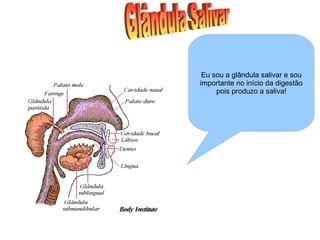 Eu sou a glândula salivar e sou importante no início da digestão pois produzo a saliva! Glândula Salivar 