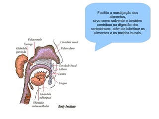 Facilito a mastigação dos alimentos, sirvo como solvente e também  contribuo na digestão dos carboidratos, além de lubrificar os alimentos e os tecidos bucais. 