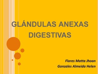 GLÁNDULAS ANEXAS
DIGESTIVAS
Flores Matta Jhoan
Gonzales Almeida Helen
 
