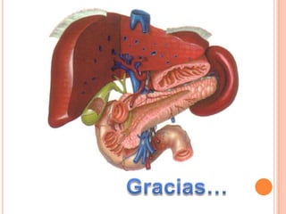 Aplicado al diafragma