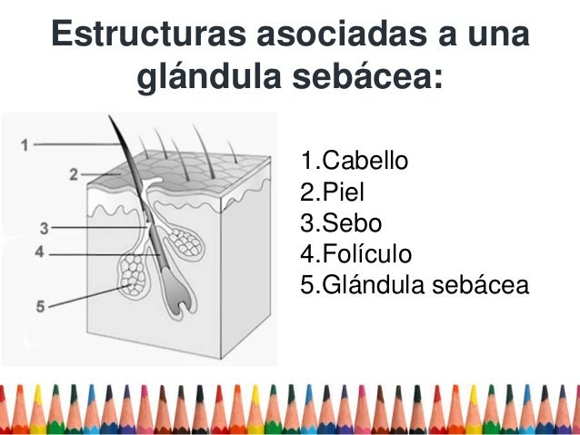 Las arrugas alrededor de los ojos kosmetologicheskie los procedimientos