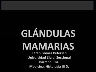 GLÁNDULAS MAMARIAS Karen Gómez PetersenUniversidad Libre. Seccional Barranquilla. Medicina. Histología III D.  
