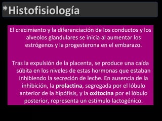 ALVÉOLOS: Compuestos por células cuboides rodeadas de una red de células mioepiteliales. Las secreciones de las células alveolares son de dos tipos:Vesículas que contienen múltiples y pequeños gránulos densos: Originados en el aparato de Golgi y se fusionan con el plasmalema apical. 