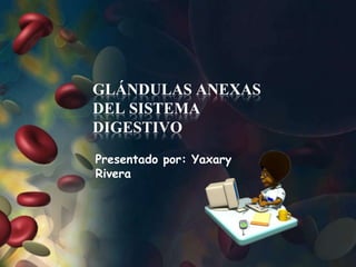 GLÁNDULAS ANEXAS
DEL SISTEMA
DIGESTIVO
Presentado por: Yaxary
Rivera
 