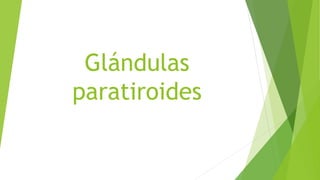 Glándulas
paratiroides
 
