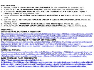 Mide de 35 a 45 mm. de longitud, 15 mm. de altura y 6 a 7 mm. de anchura.