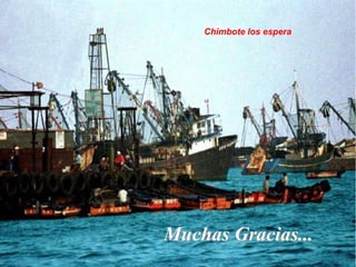 Su peso no sobrepasa de 3 gr.  Conformación exterior y RelacionesTiene la forma de oliva, aplanada en sentido transversal y con el eje mayor de dirección anteroposterior. No posee una autentica celda anatómica.