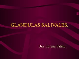 GLANDULAS SALIVALES.
Dra. Lorena Patiño.
 