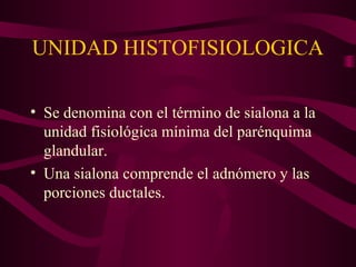 UNIDAD HISTOFISIOLOGICA 
• Se denomina con el término de sialona a la 
unidad fisiológica mínima del parénquima 
glandular. 
• Una sialona comprende el adnómero y las 
porciones ductales. 
 