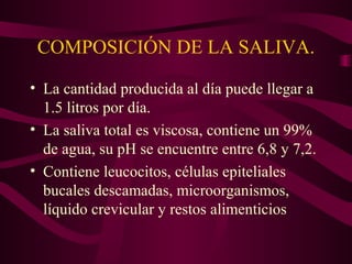 COMPOSICIÓN DE LA SALIVA. 
• La cantidad producida al día puede llegar a 
1.5 litros por día. 
• La saliva total es viscosa, contiene un 99% 
de agua, su pH se encuentre entre 6,8 y 7,2. 
• Contiene leucocitos, células epiteliales 
bucales descamadas, microorganismos, 
líquido crevicular y restos alimenticios 
 