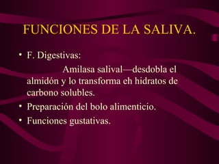 FUNCIONES DE LA SALIVA. 
• F. Digestivas: 
Amilasa salival—desdobla el 
almidón y lo transforma eh hidratos de 
carbono solubles. 
• Preparación del bolo alimenticio. 
• Funciones gustativas. 
 