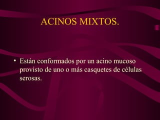 ACINOS MIXTOS. 
• Están conformados por un acino mucoso 
provisto de uno o más casquetes de células 
serosas. 
 