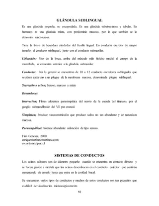 10
GLÁNDULA SUBLINGUAL
Es una glándula pequeña, no encapsulada. Es una glándula tubuloacinosa y tubular. En
humanos es una glándula mixta, con predominio mucoso, por lo que también se lo
denomina mucoserosa.
Tiene la forma de herradura alrededor del frenillo lingual. Un conducto excretor de mayor
tamaño, el conducto sublingual, junto con el conducto submaxilar.
Ubicación; Piso de la boca, arriba del músculo milo hioideo medial al cuerpo de la
mandíbula, se encuentra anterior a la glándula submaxilar.
Conducto; Por lo general se encuentran de 10 a 12 conducto excretores sublinguales que
se abren cada uno a un pliegue de la membrana mucosa, denominada pliegue sublingual.
Secreción o acino; Seroso, mucoso y mixto
Desemboca;
Inervación; Fibras aferentes parasimpática del nervio de la cuerda del tímpano, por el
ganglio submandibular del VII par craneal.
Simpática; Produce vasoconstricción que produce saliva no tan abundante y de naturaleza
mucosa.
Parasimpática; Produce abundante salivación de tipo seroso.
Finn Geneser, 2000.
enriquemartinezmartinez.com
escuela.med.puc.cl
SISTEMAS DE CONDUCTOS
Los acinos salivares son de diámetro pequeño cuando se encuentra en contacto directo y
se hacen grande a medida que los acinos desembocan en el conducto colector que continúa
aumentando de tamaño hasta que entra en la cavidad bucal.
Se encuentran varios tipos de conductos y muchos de estos conductos son tan pequeños que
es difícil de visualizarlos microscópicamente.
 
