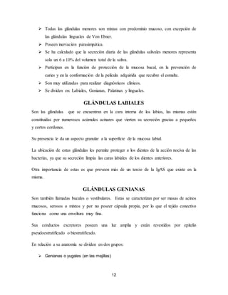 12
 Todas las glándulas menores son mixtas con predominio mucoso, con excepción de
las glándulas linguales de Von Ebner.
 Poseen inervación parasimpática.
 Se ha calculado que la secreción diaria de las glándulas salivales menores representa
solo un 6 a 10% del volumen total de la saliva.
 Participan en la función de protección de la mucosa bucal, en la prevención de
caries y en la conformación de la película adquirida que recubre el esmalte.
 Son muy utilizadas para realizar diagnósticos clínicos.
 Se dividen en: Labiales, Genianas, Palatinas y linguales.
GLÁNDULAS LABIALES
Son las glándulas que se encuentran en la cara interna de los labios, las mismas están
constituidas por numerosos acúmulos acinares que vierten su secreción gracias a pequeños
y cortos cordones.
Su presencia le da un aspecto granular a la superficie de la mucosa labial.
La ubicación de estas glándulas les permite proteger a los dientes de la acción nociva de las
bacterias, ya que su secreción limpia las caras labiales de los dientes anteriores.
Otra importancia de estas es que proveen más de un tercio de la IgAS que existe en la
misma.
GLÁNDULAS GENIANAS
Son también llamadas bucales o vestibulares. Estas se caracterizan por ser masas de acinos
mucosos, serosos o mixtos y por no poseer cápsula propia, por lo que el tejido conectivo
funciona como una envoltura muy fina.
Sus conductos excretores poseen una luz amplia y están revestidos por epitelio
pseudoestratificado o biestratificado.
En relación a su anatomía se dividen en dos grupos:
 Genianas o yugales (en las mejillas)
 