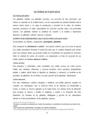 4
GLÁNDULAS SALIVALES
GENERALIDADES
Las glándulas salivales son glándulas exocrinas, con secreción de tipo merocrina1, que
vierten su contenido en la cavidad bucal y son las responsables de mantener húmeda toda la
mucosa bucal, tienen a su cargo la producción y secreción de la saliva. En términos
generales pertenecen al tejido especializado de secreción exocrina mixta, con predominio
mucoso. Las glándulas salivales se clasifican de acuerdo a su tamaño e importancia
funcional, en glándulas salivales mayores y menores.
ESTRUCTURA HISTOLÓGICADE LAS GLÁNDULAS SALIVALES
Se describirán los distintos componentes parénquima glandular.
Está compuesta de adenómeros o acinos2 con aspecto esférico, que en un corte se aprecia
con células piramidales formando la pared del acino que se continúa alargando para formar
parte del conducto inicial, que presenta células de revestimiento sin capacidad de secreción.
Entre la variedad de acinos, de acuerdo a su organización y al tipo de secreción de sus
células pueden ser serosos, mucosos o mixtos.
Acinos serosos
Son pequeños y esferoidales, están constituidos por células serosas, las cuales poseen
células que sintetizan, almacenan y secretan proteínas. Estos producen principalmente
ptialina o amilasa salival (inicia la digestión de almidones y azúcares); se localizan en las
parótidas, las glándulas de von Ebner y en gran porción de las glándulas submaxilares.
Acinos mucosos
Son más voluminosos, esféricos alargados o tubulares, con células globosas cargadas de
vesículas con mucinógeno3 que se observan claras en las tinciones de hematoxilina y
eosina, su núcleo se observa aplanado en la región basal. Las mucinas sirven de lubricante
para proteger la mucosa y facilitar la deglución y ayudar a la formación del bolo
alimenticio. Se localizan en las glándulas sublinguales y porción de las submaxilares
además es el tipo predominante de las glándulas menores.
1Producto a secretar es liberado por medio de exocitosis, sin pérdida de membrana por parte de la
célula
2 Son estructuras redondeadas formadas por células epiteliales.
3 Es una glucoproteína que forma glucina a través de la absorción de agua por imbibición.
 