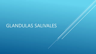 GLANDULAS SALIVALES
 