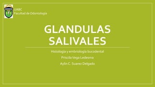 GLANDULAS
SALIVALES
Histología y embriología bucodental
PriscilaVega Ledesma
Aylin C. Suarez Delgado
UABC
Facultad de Odontología
 