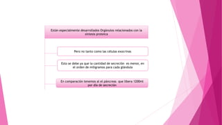 Están especialmente desarrollados Orgánulos relacionados con la
síntesis proteica
Pero no tanto como las células exocrinas
Esto se debe ya que la cantidad de secreción es menor, en
el orden de miligramos para cada glándula
En comparación tenemos al el páncreas que libera 1200ml
por día de secreción
 
