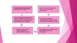 La hormona con su secuencia de señal se denomina
pre hormona, pero en el caso de otras proteínas
una peptidasa de la señal corta la secuencia de la
señal en cuanto pasa a la luz del RER.
• Una ves finalizada la síntesis de la
cadena contiene porciones en exceso,
por lo general en un extremo de la
secuencia hormonal verdadera
• Esta secuencia se separa
durante el posterior
tratamiento de la hormona.
• Las hormonas en esta forma aun no
terminadas se denominan
prohormonas.
• Por lo tanto se habla de
prepohormanas cuando aun no se
ha separado la secuencia de señal
• Casi todas las hormonas péptidas
tienen una etapa previa de
prohormonas.
 