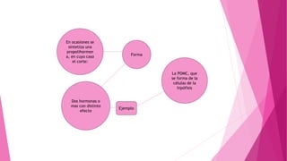 En ocasiones se
sintetiza una
propolihormon
a, en cuyo caso
el corte:
Forma
Dos hormonas o
mas con distinto
efecto
Ejemplo
La POMC, que
se forma de la
células de la
hipófisis
 