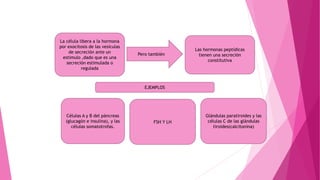 La célula libera a la hormona
por exocitosis de las vesículas
de secreción ante un
estimulo ,dado que es una
secreción estimulada o
regulada
Pero también
Las hormonas peptídicas
tienen una secreción
constitutiva
EJEMPLOS
Células A y B del páncreas
(glucagón e insulina), y las
células somatotrofas.
FSH Y LH
Glándulas paratiroides y las
células C de las glándulas
tiroides(calcitonina)
 
