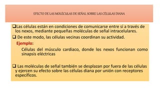 EFECTO DE LAS MOLÉCULAS DE SEÑAL SOBRE LAS CÉLULAS DIANA
Las células están en condiciones de comunicarse entre sí a través de
los nexos, mediante pequeñas moléculas de señal intracelulares.
 De este modo, las células vecinas coordinan su actividad.
Ejemplo:
Células del músculo cardiaco, donde los nexos funcionan como
sinapsis eléctricas
 Las moléculas de señal también se desplazan por fuera de las células
y ejercen su efecto sobre las células diana por unión con receptores
específicos.
 