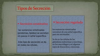  Secreción constitutiva
las sustancias sintetizadas
(proteínas, lípidos) se secretan
sin pausa ni señal específica.
Este tipo de secreción se da
en todas las células.
 Secreción regulada
las sustancias sintetizadas
necesitan de una señal específica
para ser secretadas.
Se da en las células de las
glándulas endocrinas y exocrinas,
en los macrófagos y en algunos
tipos de leucocitos y neuronas.
 