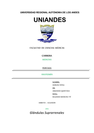 UNIVERSIDAD REGIONAL AUTÓNOMA DE LOS ANDES
UNIANDES
FACULTAD DE CIENCIAS MÉDICAS
CARRERA
MEDICINA
PORTADA
ANATOMÍA
NOMBRE:
HERNÁN YÉPEZ.
DR:
ARMANDO QUINTANA
NIVEL:
SEGUNDO MEDICINA “B”
AMBATO – ECUADOR
2015
Glándulas Suprarrenales
 